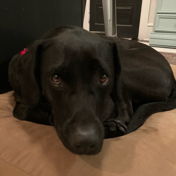 Meet your Posher, Rob - Picture 1 of 1